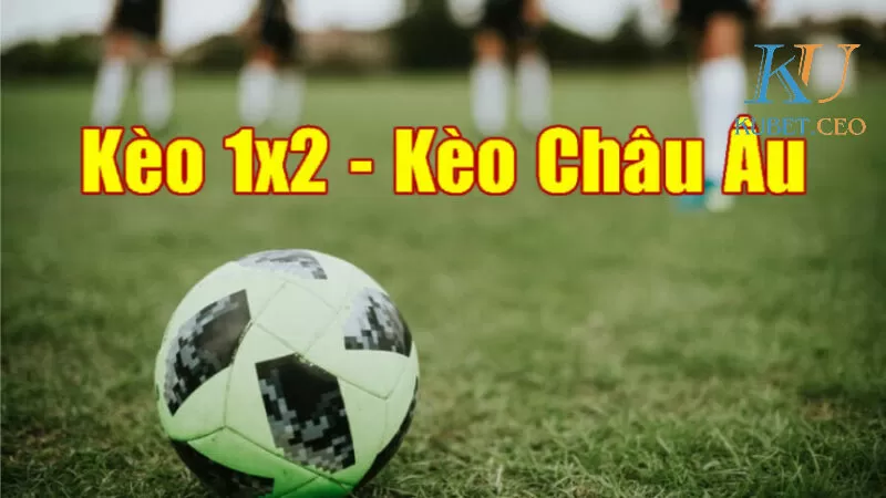 Cách đọc kèo bóng đá 1x2 